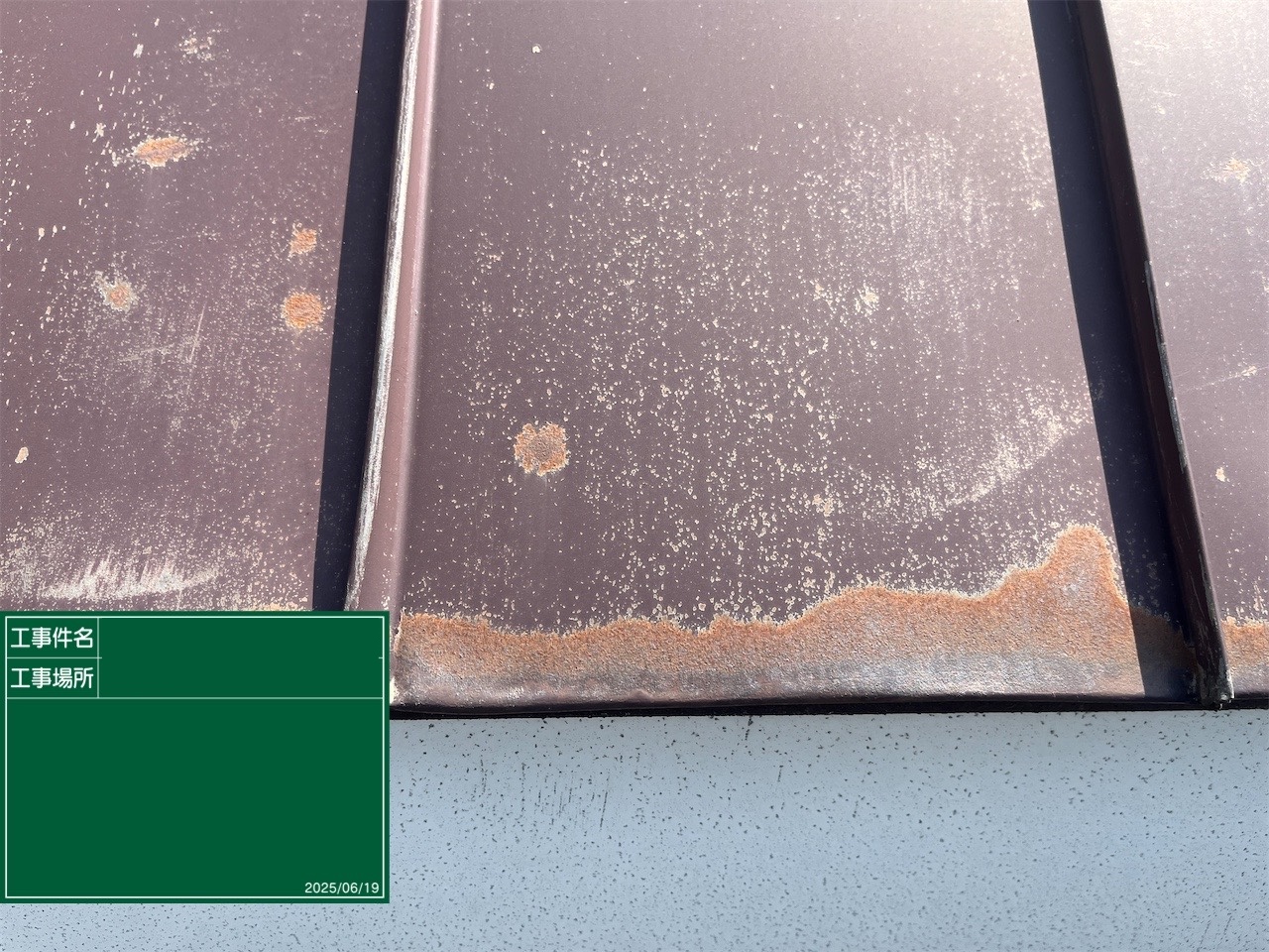 屋根にサビや苔が発生している事例